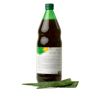 where do aloe vera plants grow Aloe vera Plants For Sale